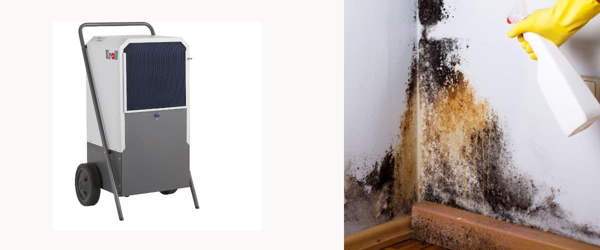 Deshumidificar y tratar el moho