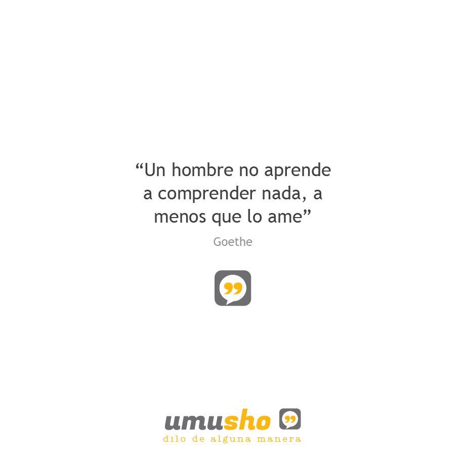 “Un hombre no aprende a comprender nada, a menos que lo ame” Goethe
