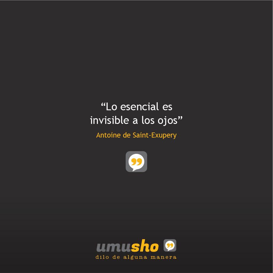 “Lo esencial es invisible a los ojos” Antoine de Saint-Exupery
