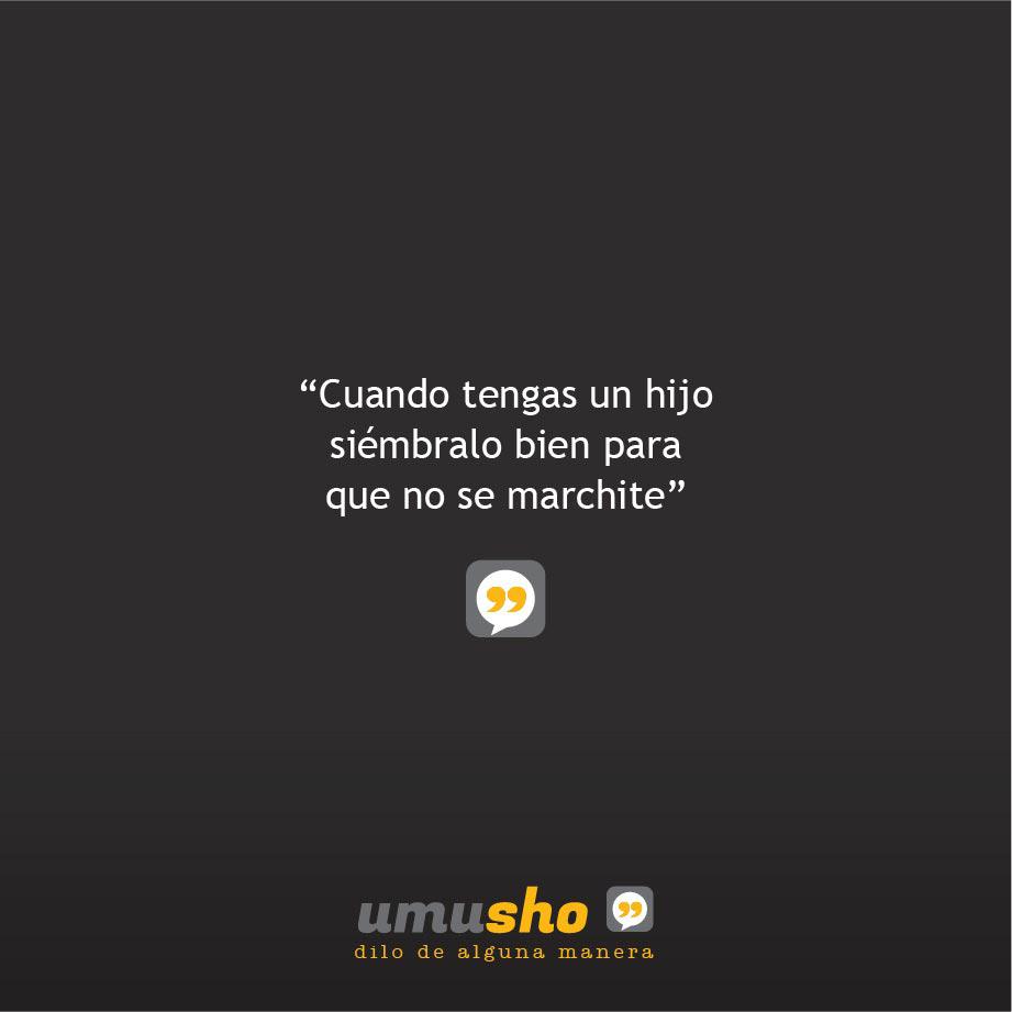 Cuando tengas un hijo siémbralo bien para que no se marchite