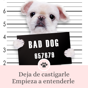 mi perro es reactivo