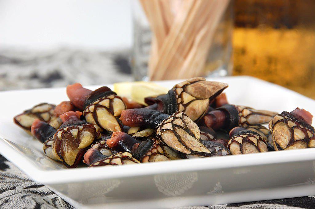 Cómo cocinar percebes