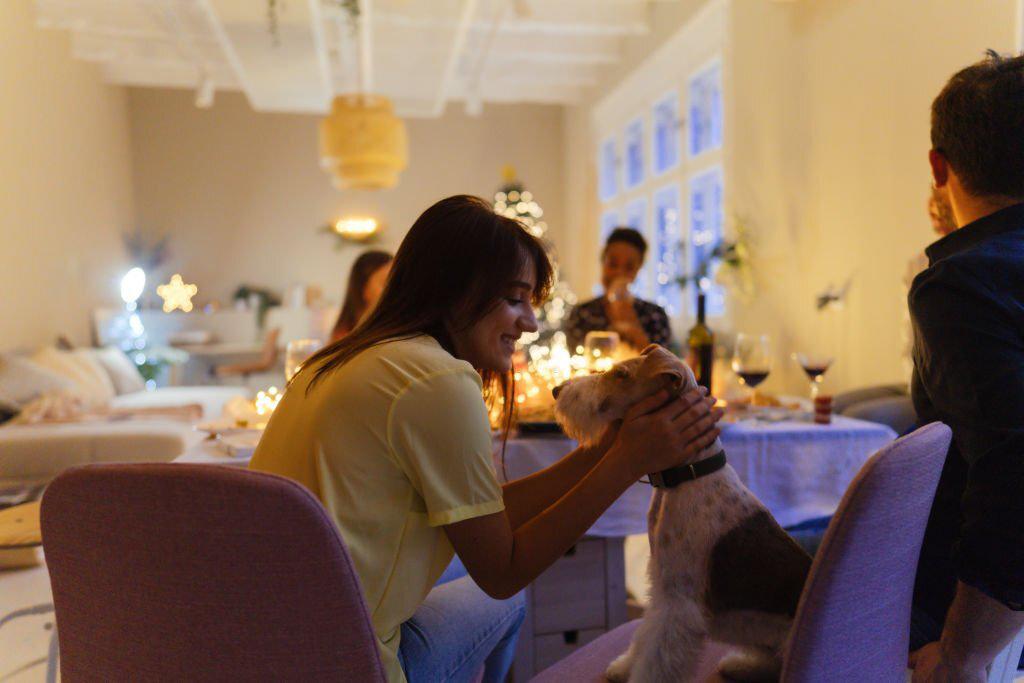 perro fiesta navidad