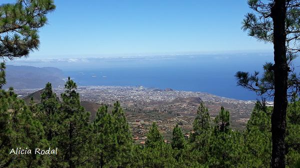 Crear y Reciclar es mi trabajo y al mismo tiempo es mi hobby, porque me encanta lo que hago, lo hago con todo el amor del mundo y le pongo mucha pasión. Con esta auto encuesta me gustaría que me conocieran un poquito más, quién es la persona que está detrás de Crear y Reciclar.