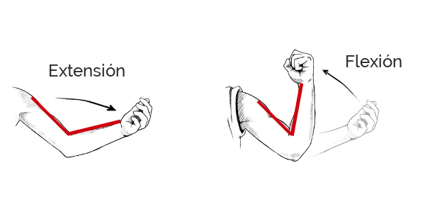 flexion y extension