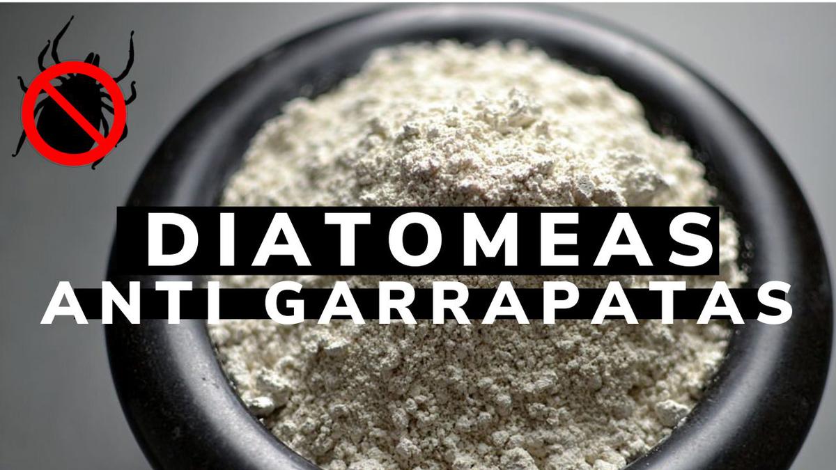 tierra diatomeas anti garrapatas