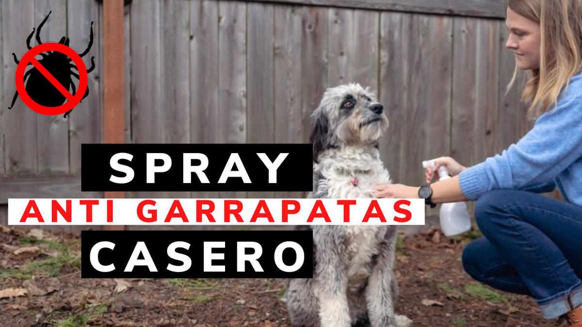 spray contra pulgas y garrapatas casero