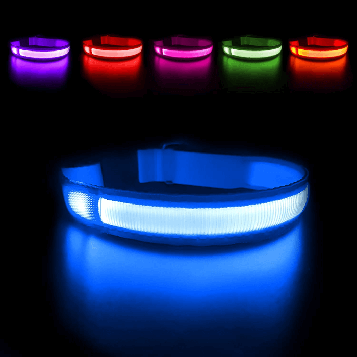 collar luminoso para perros color azul