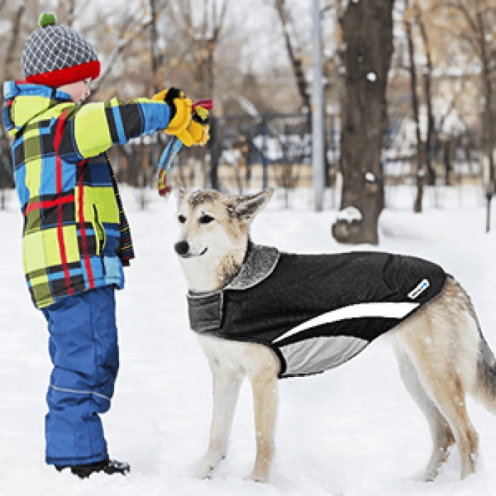 abrigo impermeable para perros Buddypuppy