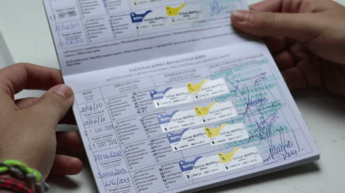 cartilla de vacunación para perros