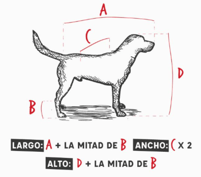 cómo medir tu perro para seleccionar tipi