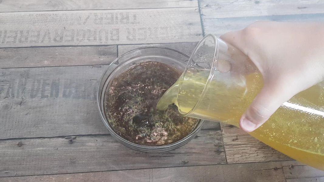 Secreto balsámico con cuscús al ajo