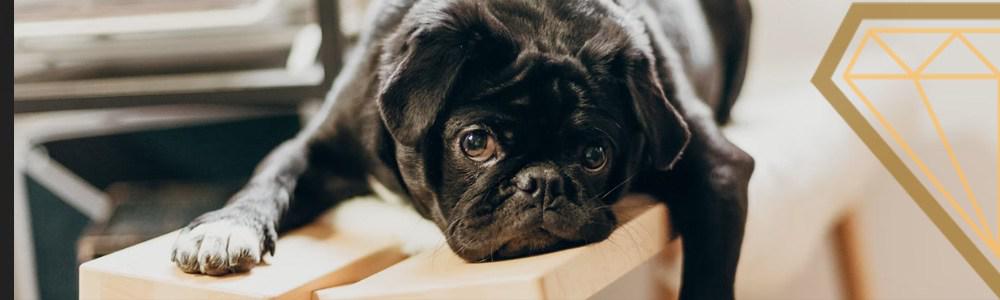 Las mejores paginas web para perder el tiempo