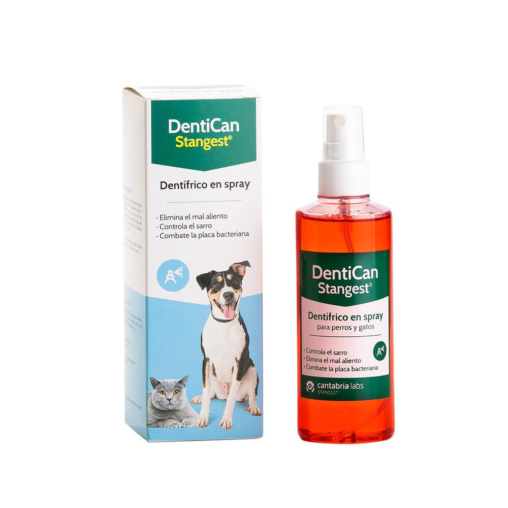 spray para limpiar los dientes los perros