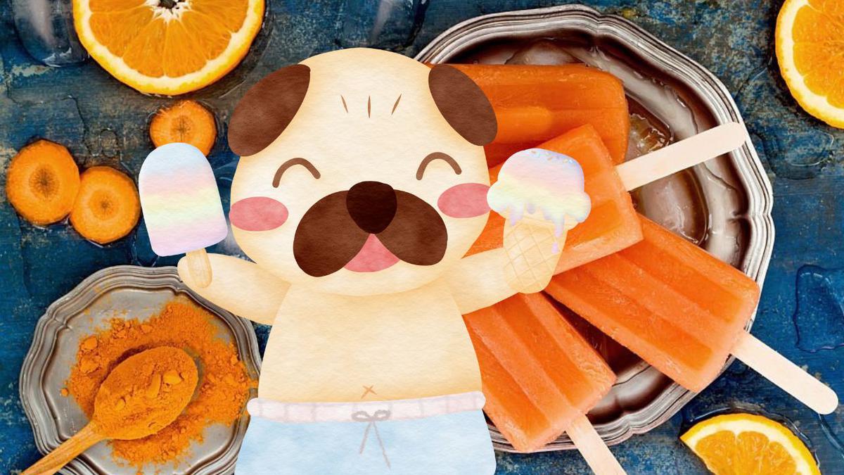helado de carne y zanahoria para perros
