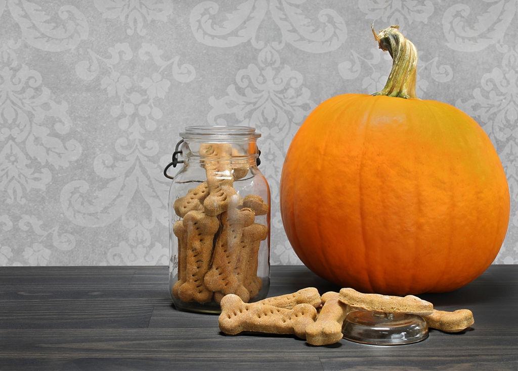 Galletas de calabaza para perros