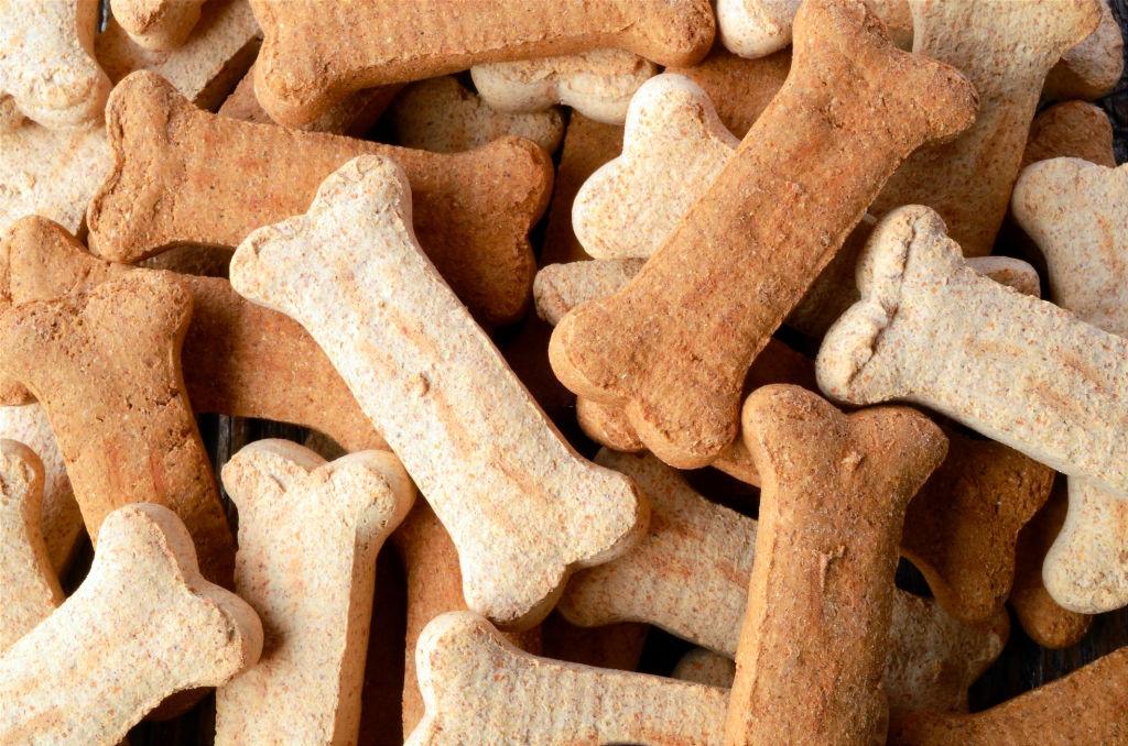Galletas para perros