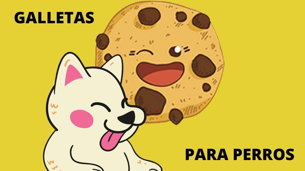 galletas para perros