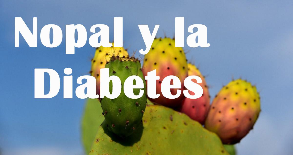 Nopal para la Diabetes ¿Por qué y Cómo consumirlo? 7