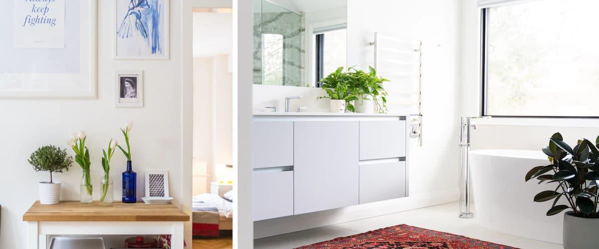 Cuadros y plantas en el cuarto de baño