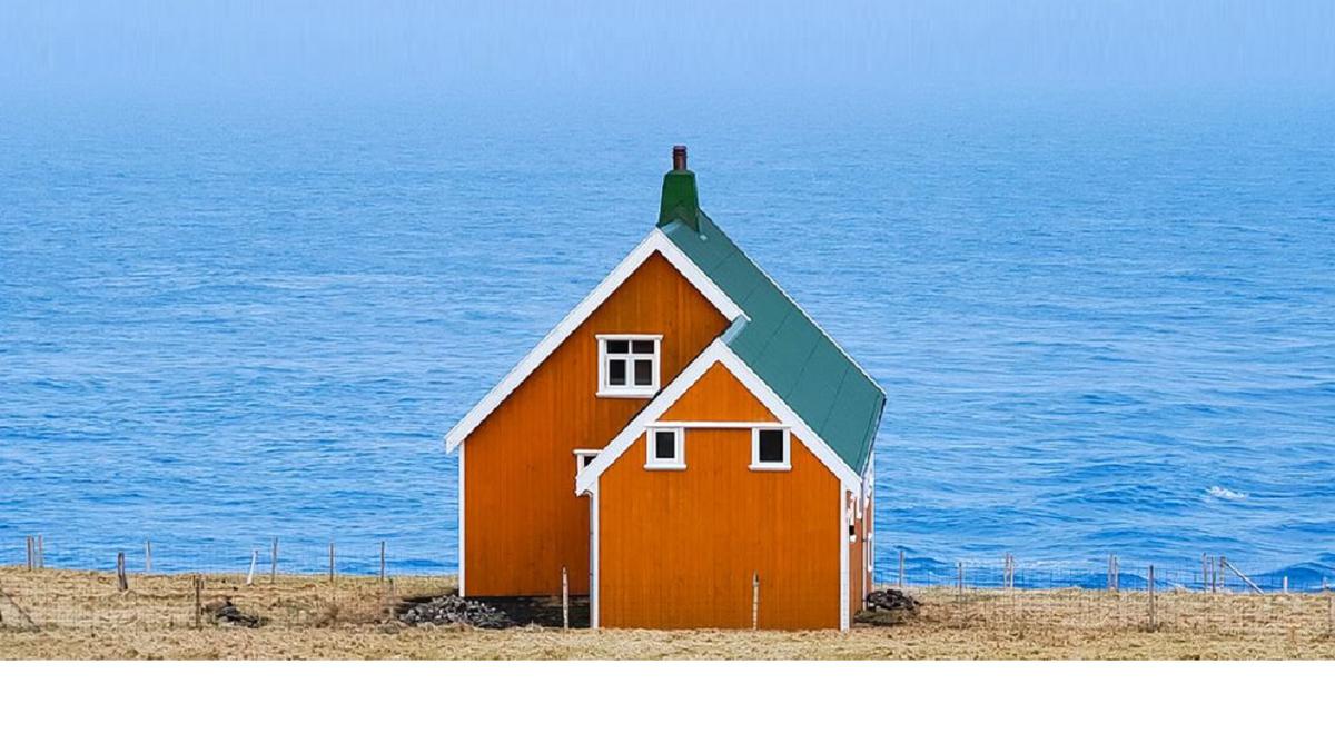 camara del vivo x80 pro 20