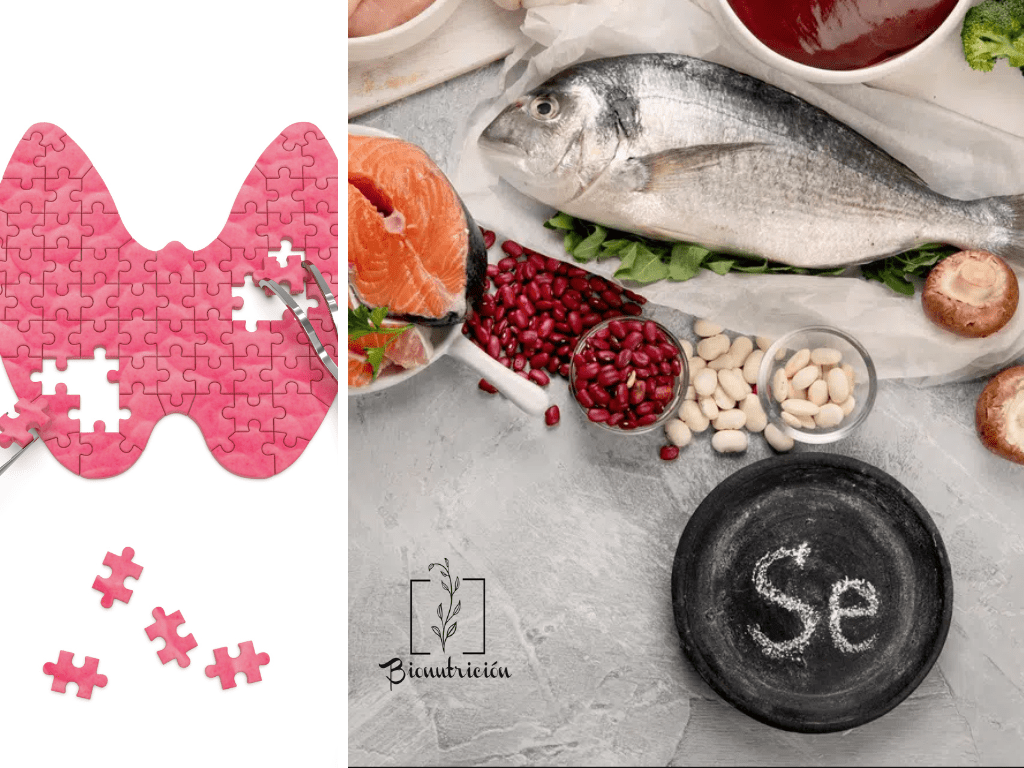 Suplementos de selenio - Bionutrición Ortomolecular