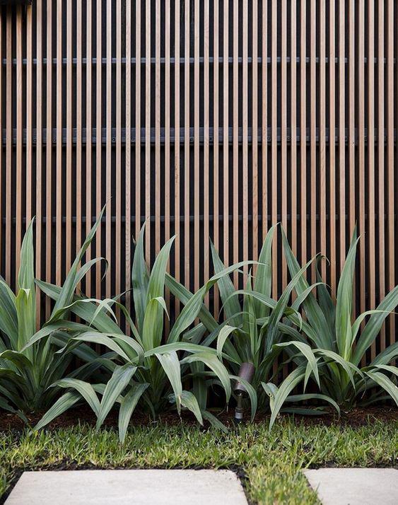 Cercos con vistas de wpc