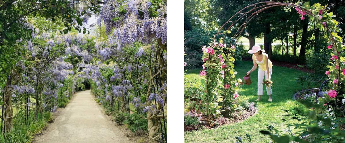 arco para decorar con plantas