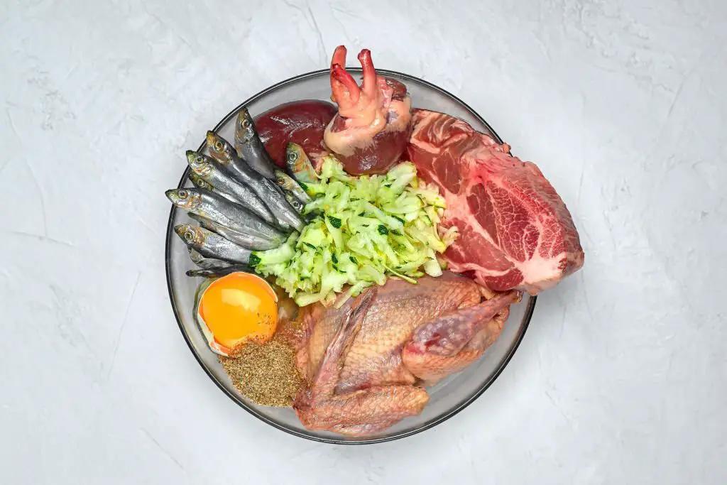 comida halloween para perros