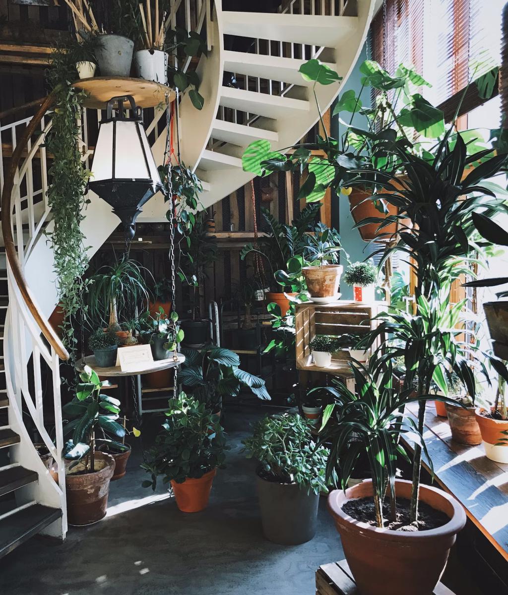 El 2023 es el año del jardín interior no dejes de agregar uno a tu decoración 1