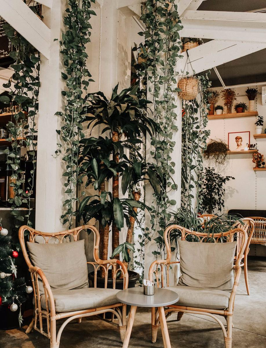 El 2023 es el año del jardín interior no dejes de agregar uno a tu decoración 2