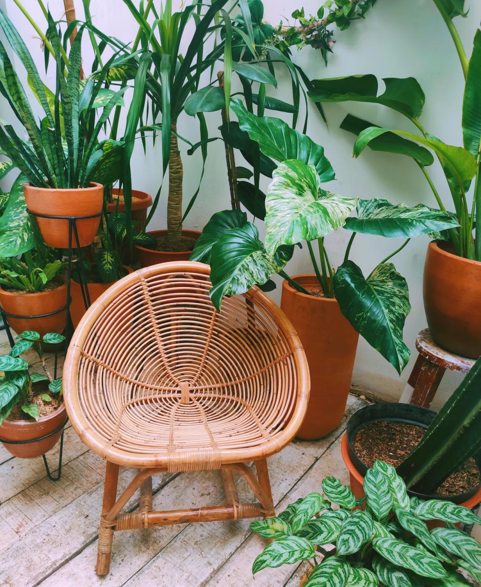 El 2023 es el año del jardín interior no dejes de agregar uno a tu decoración 3