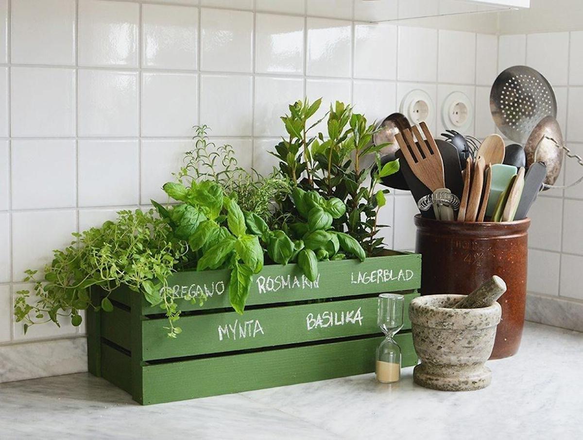 Feng shui en la cocina: claves para aplicar esta filosofía 6