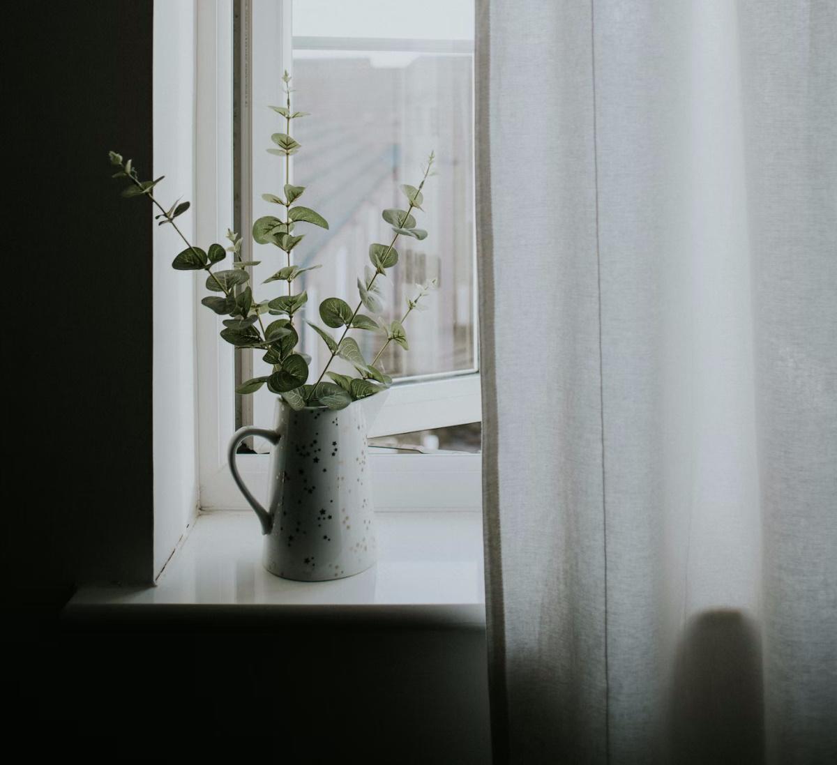 Decorar con eucalipto te contamos cómo hacer que duren sus ramas y hojas frescas o secas 2