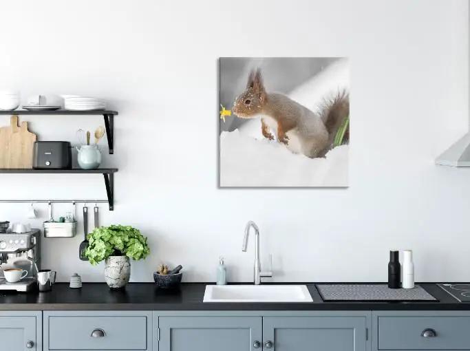 decoracion en pared de cocina