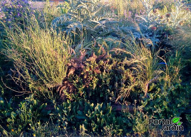 Empezar el huerto desde cero. Portal Jardín - Huerto, Jardín y Recetas.
