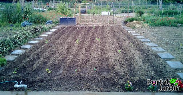 Empezar el huerto desde cero. Portal Jardín - Huerto, Jardín y Recetas.