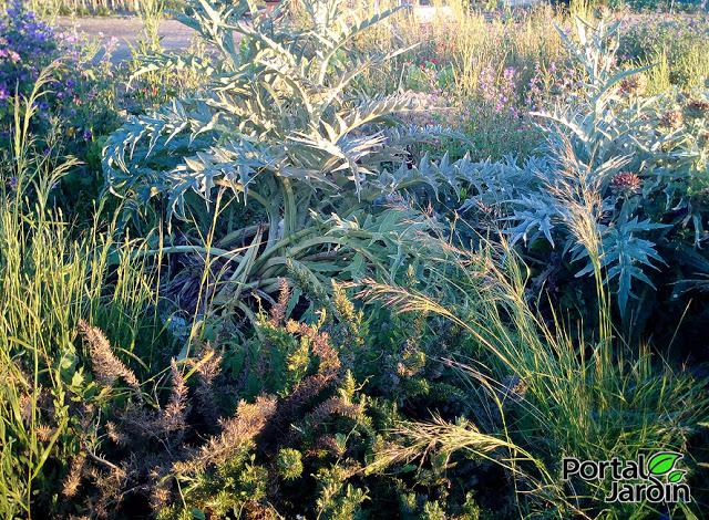 Empezar el huerto desde cero. Portal Jardín - Huerto, Jardín y Recetas.