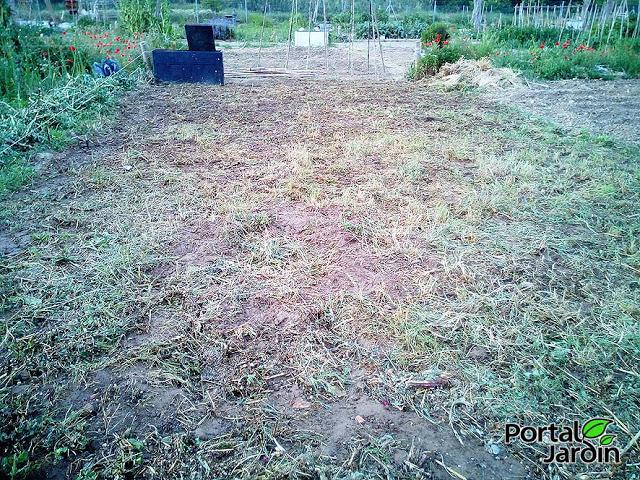 Empezar el huerto desde cero. Portal Jardín - Huerto, Jardín y Recetas.