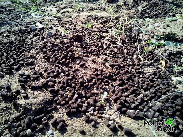 Empezar el huerto desde cero. Portal Jardín - Huerto, Jardín y Recetas.