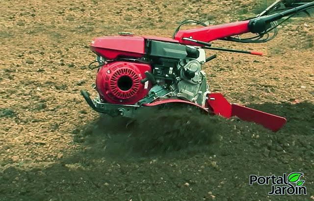 Empezar el huerto desde cero. Portal Jardín - Huerto, Jardín y Recetas.