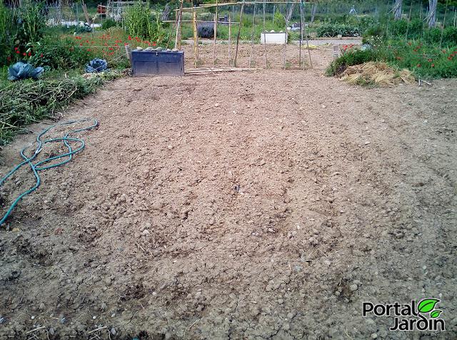 Empezar el huerto desde cero. Portal Jardín - Huerto, Jardín y Recetas.
