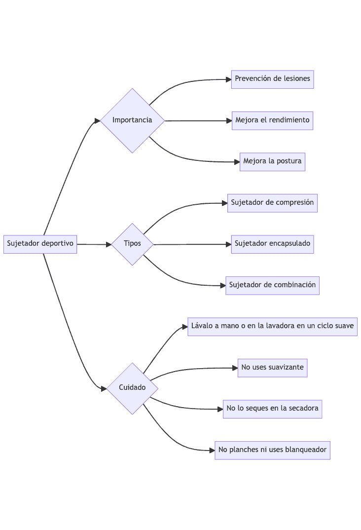resumen diagrama sujetador deportivo