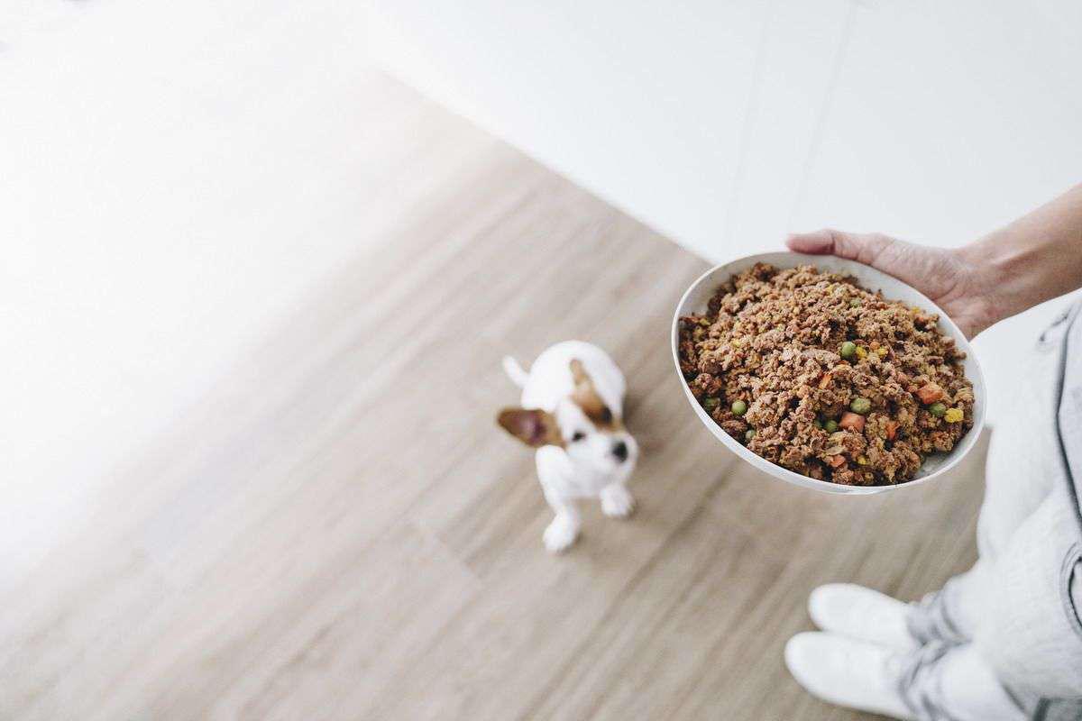 Comidas caseras para perros