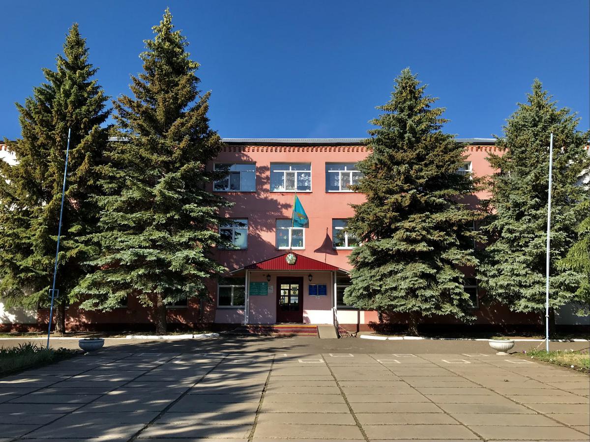 La Picea pungens es una conífera perenne