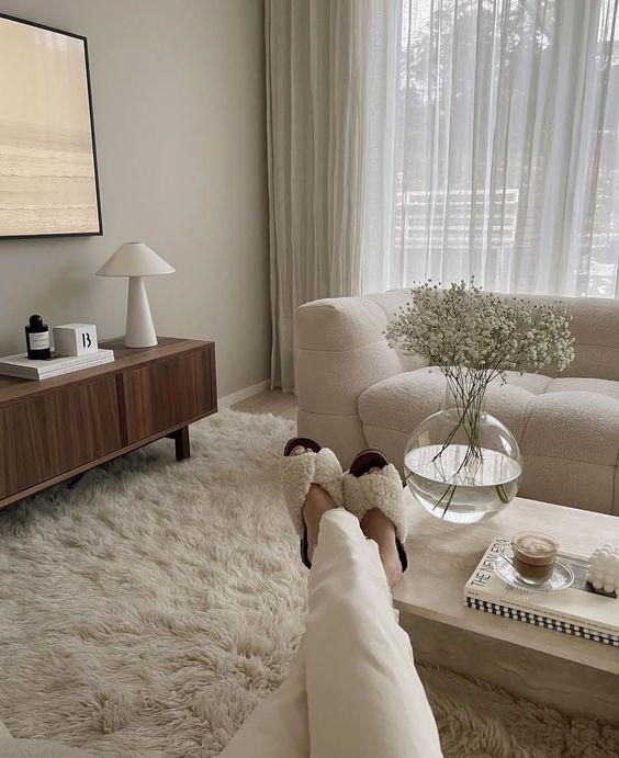 Salas de estar modernas con alfombra