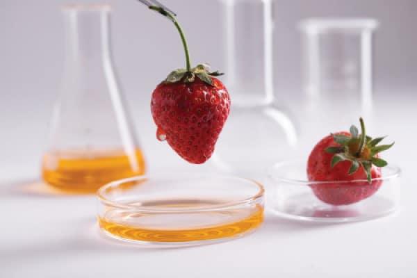 La evolución de la cocina molecular