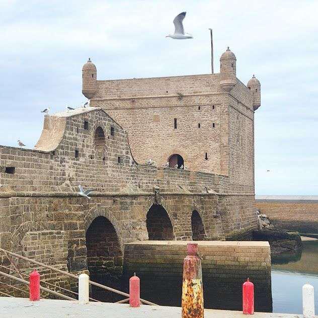 como ir de marrakech a esauira