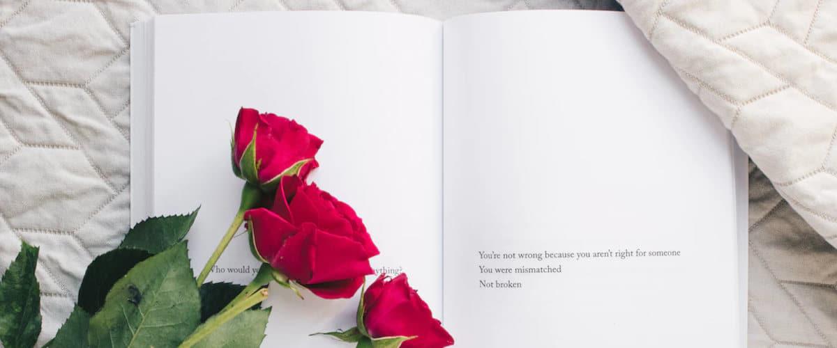 Secar la rosa entre las páginas de un libro