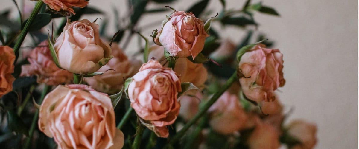 Ramo de rosas secas